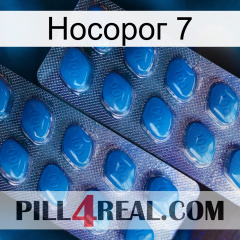 Носорог 7 viagra2